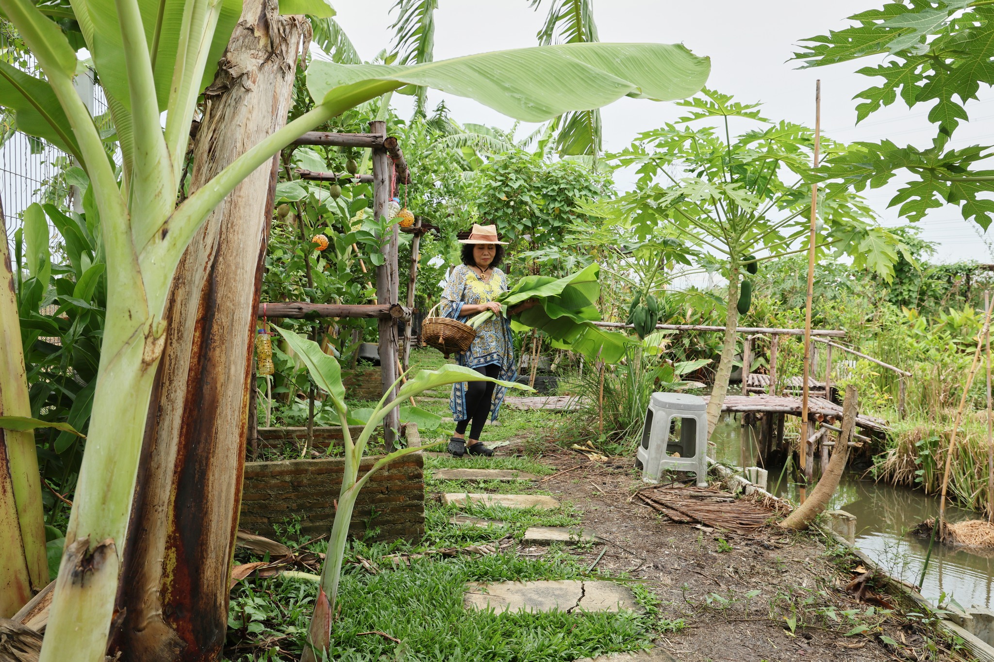 ยายหนิง