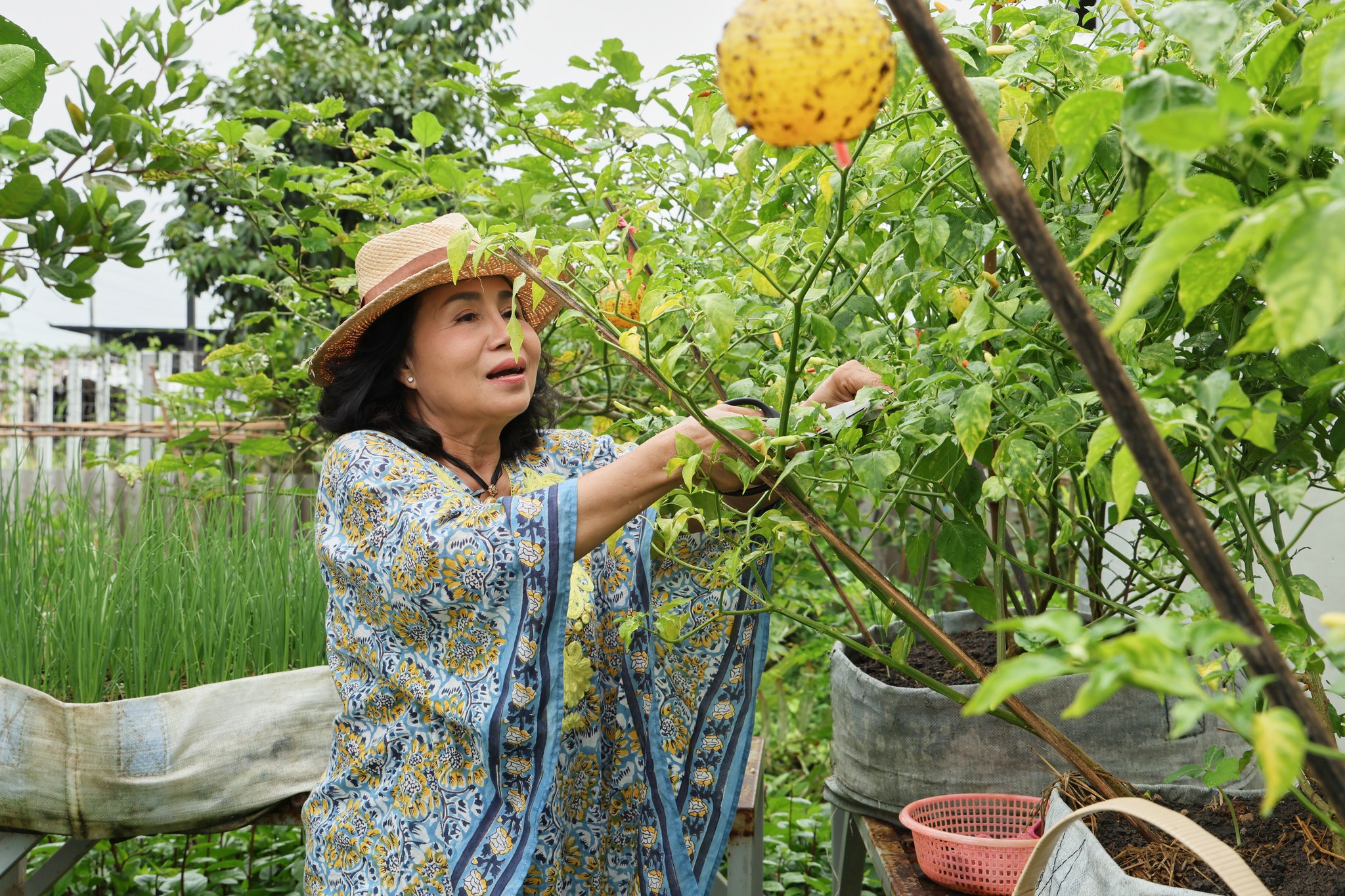 ยายหนิง