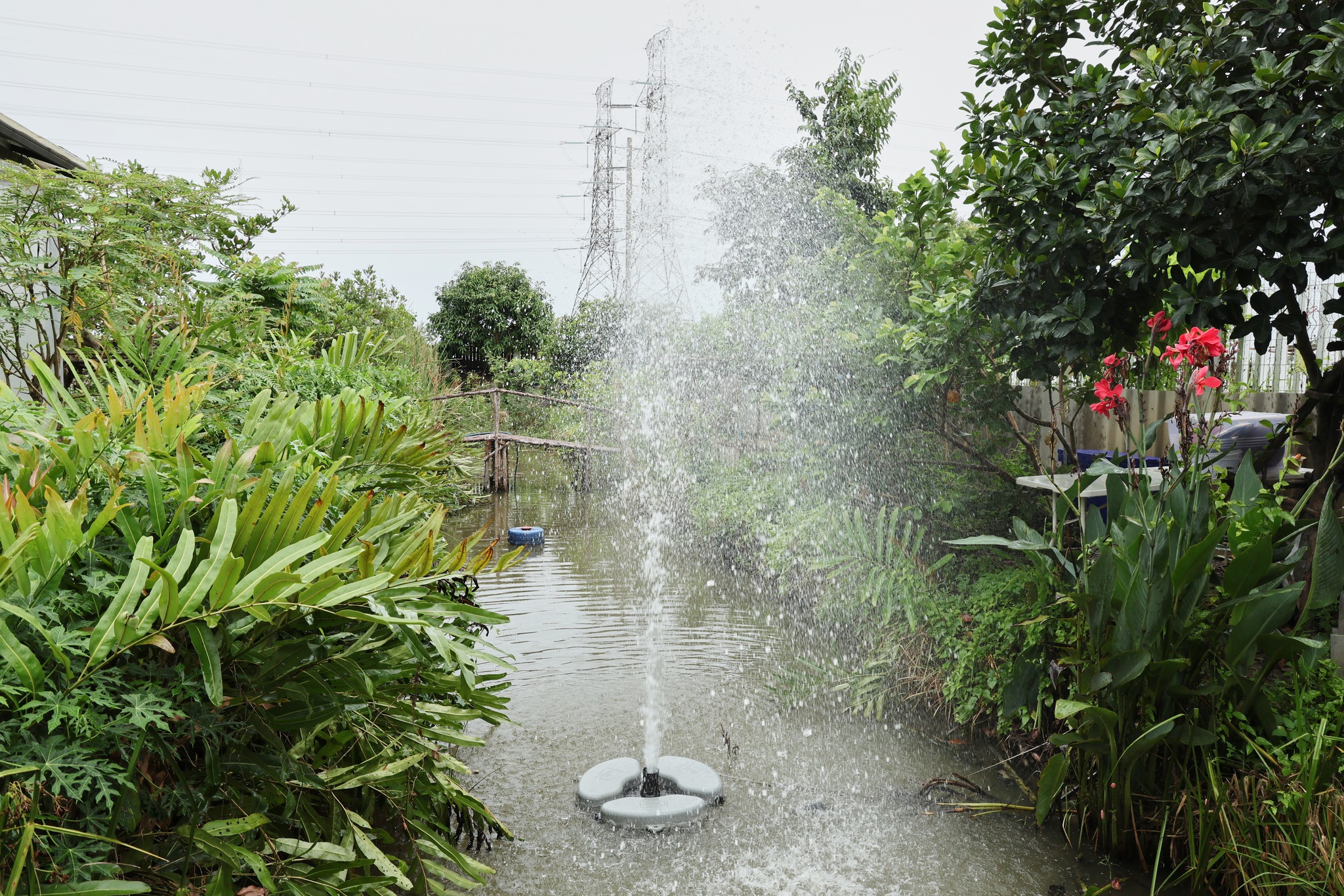 ยายหนิง