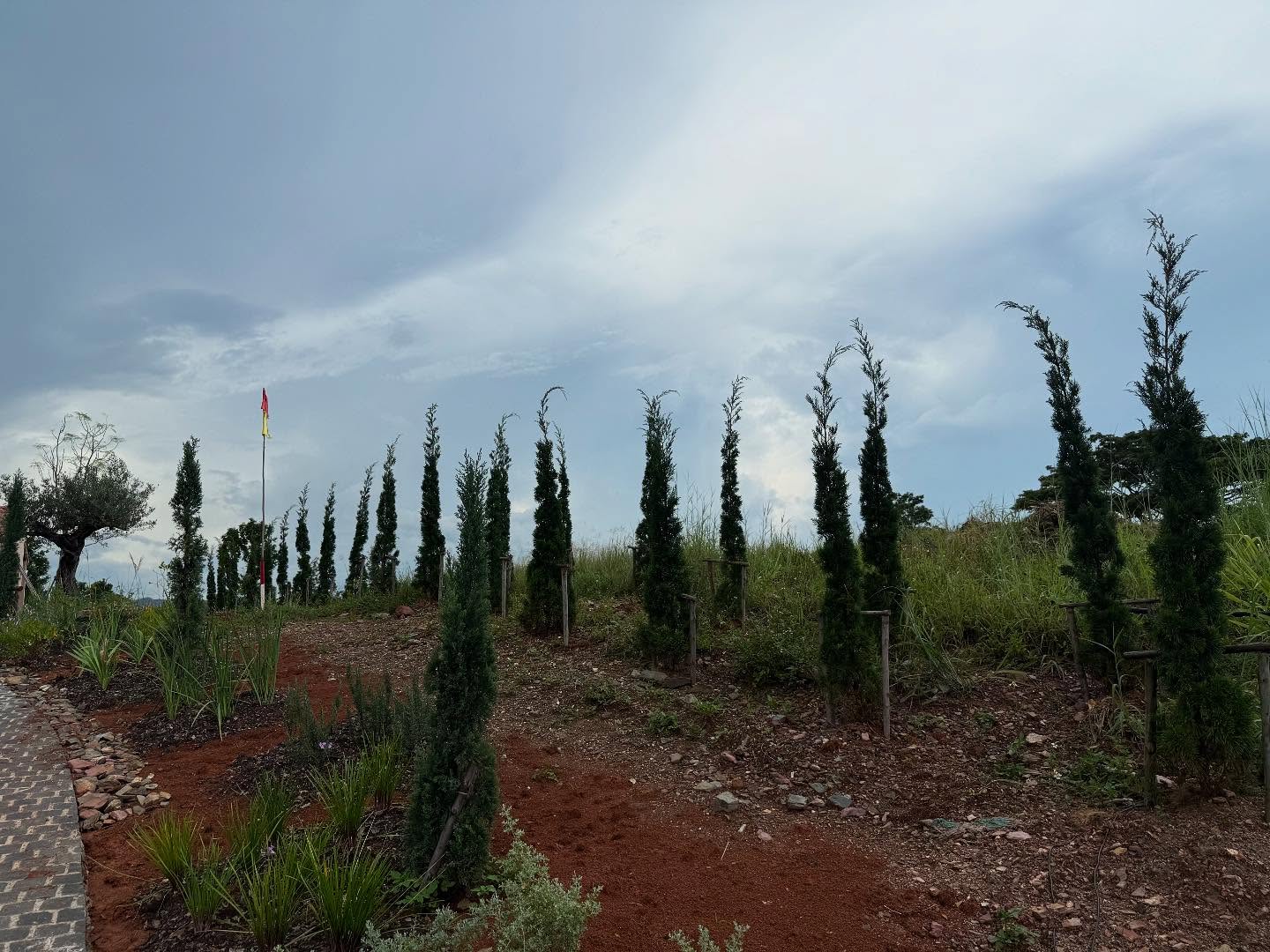 ญาญ่า อุรัสยา