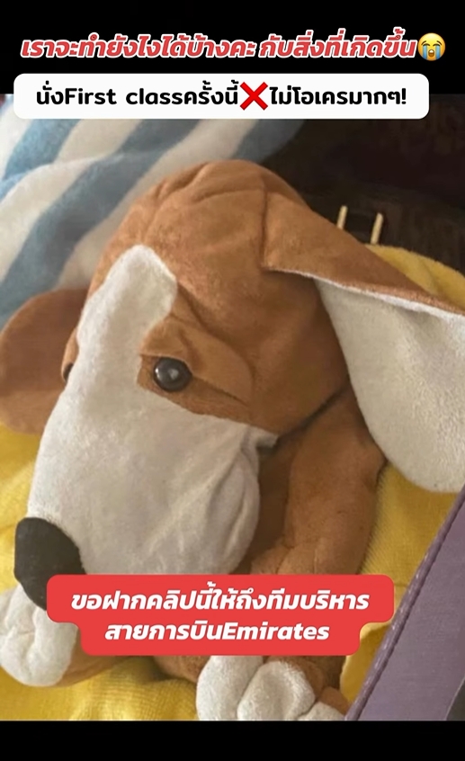 กระแต อาร์สยาม