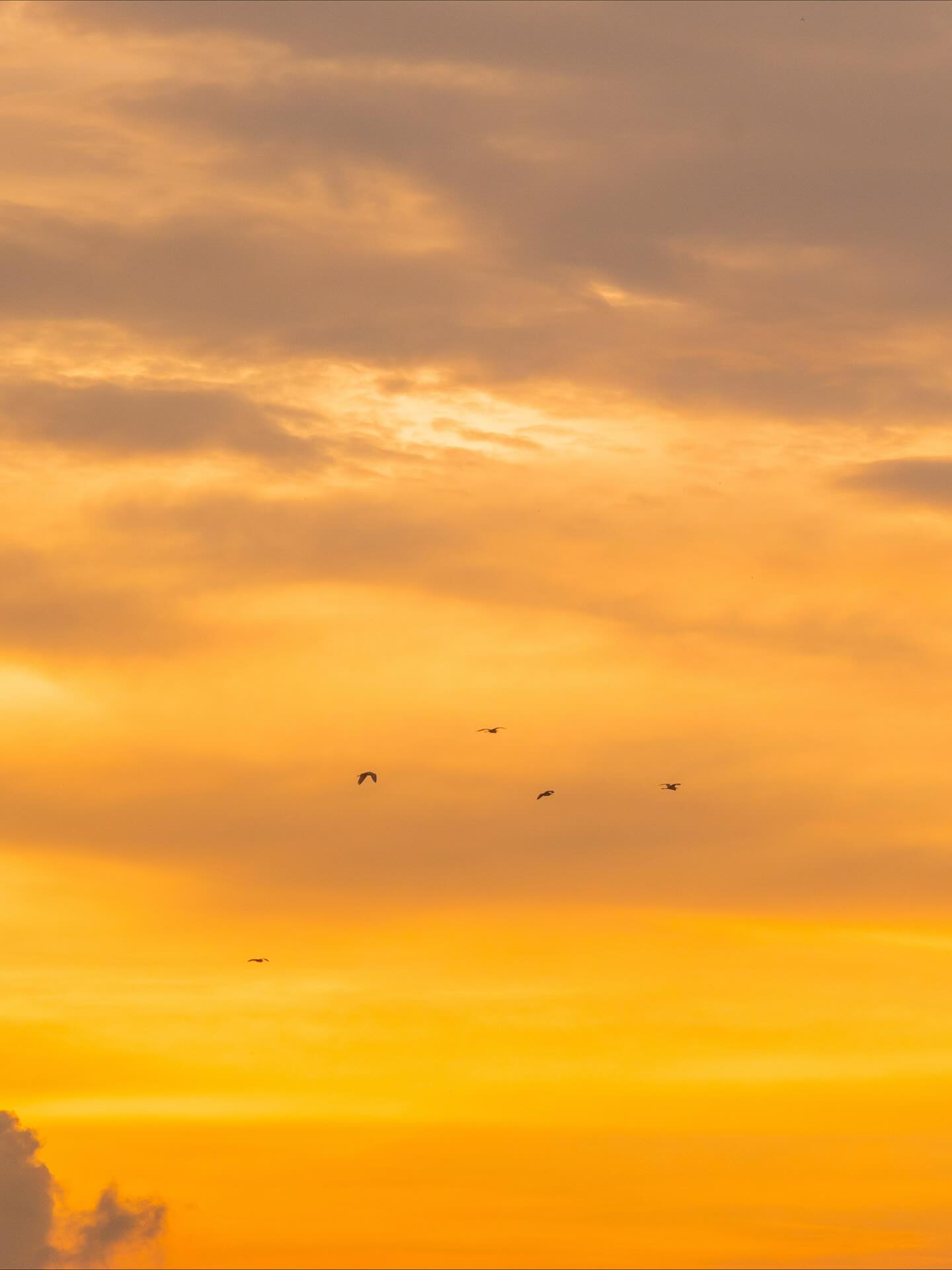 ศรีริต้า กรณ์