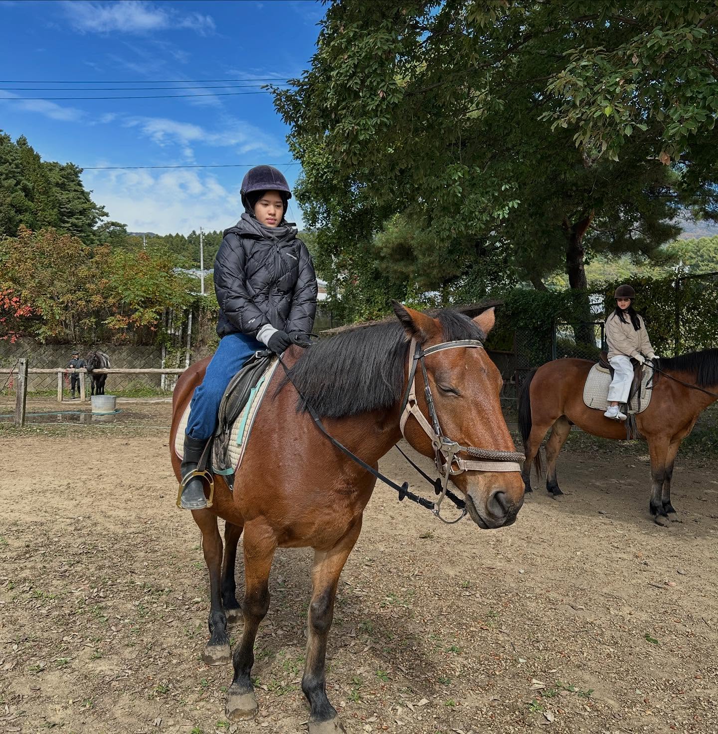 น้องโสน - น้องนาวา