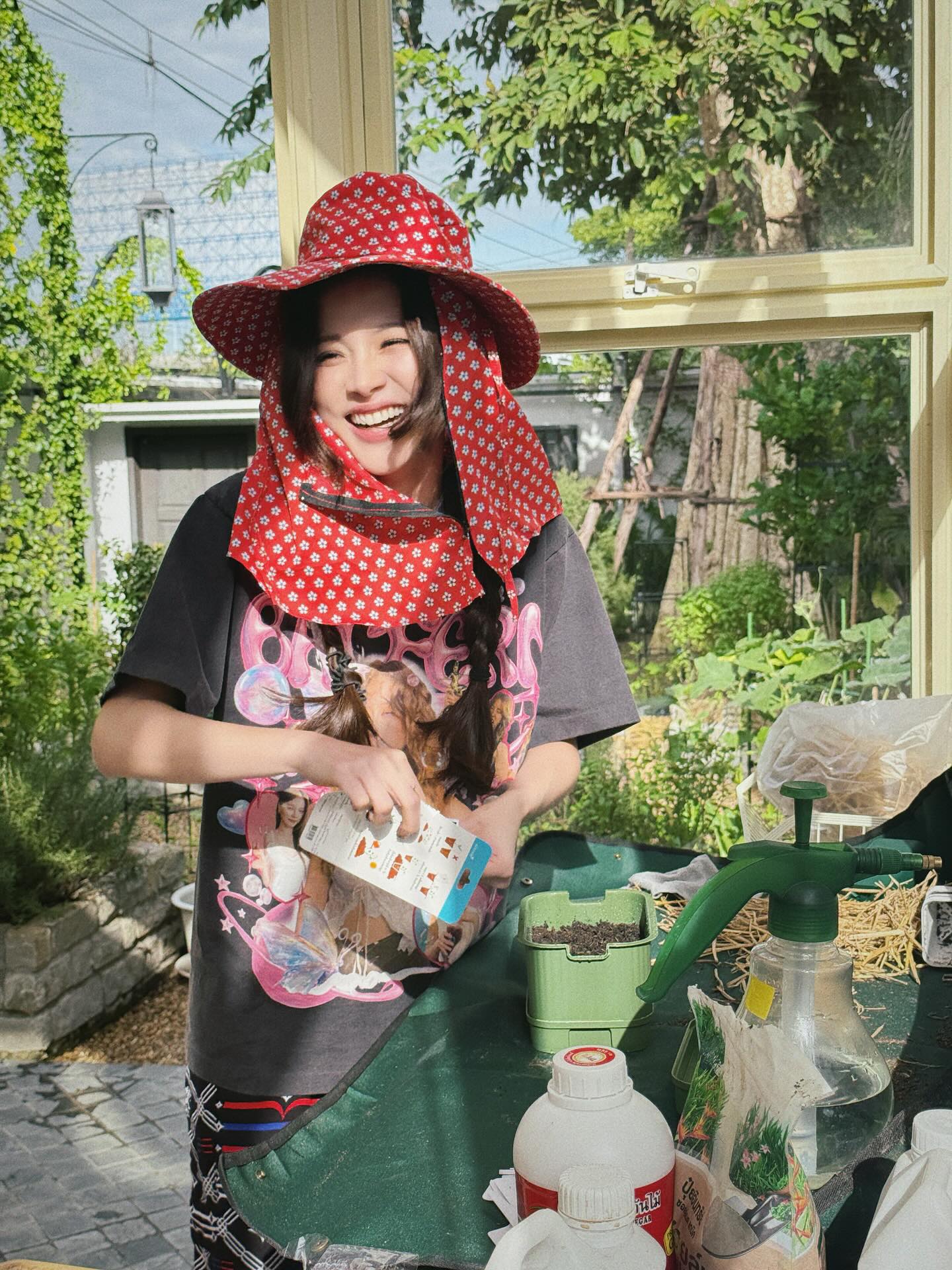 ใบเฟิร์น พิมพ์ชนก