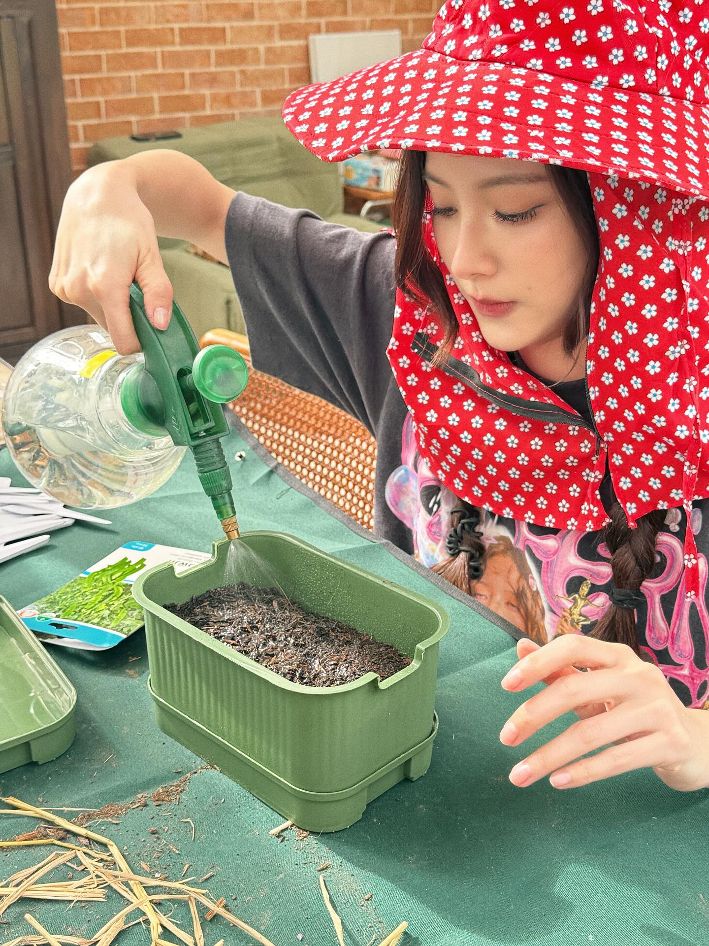 ใบเฟิร์น พิมพ์ชนก