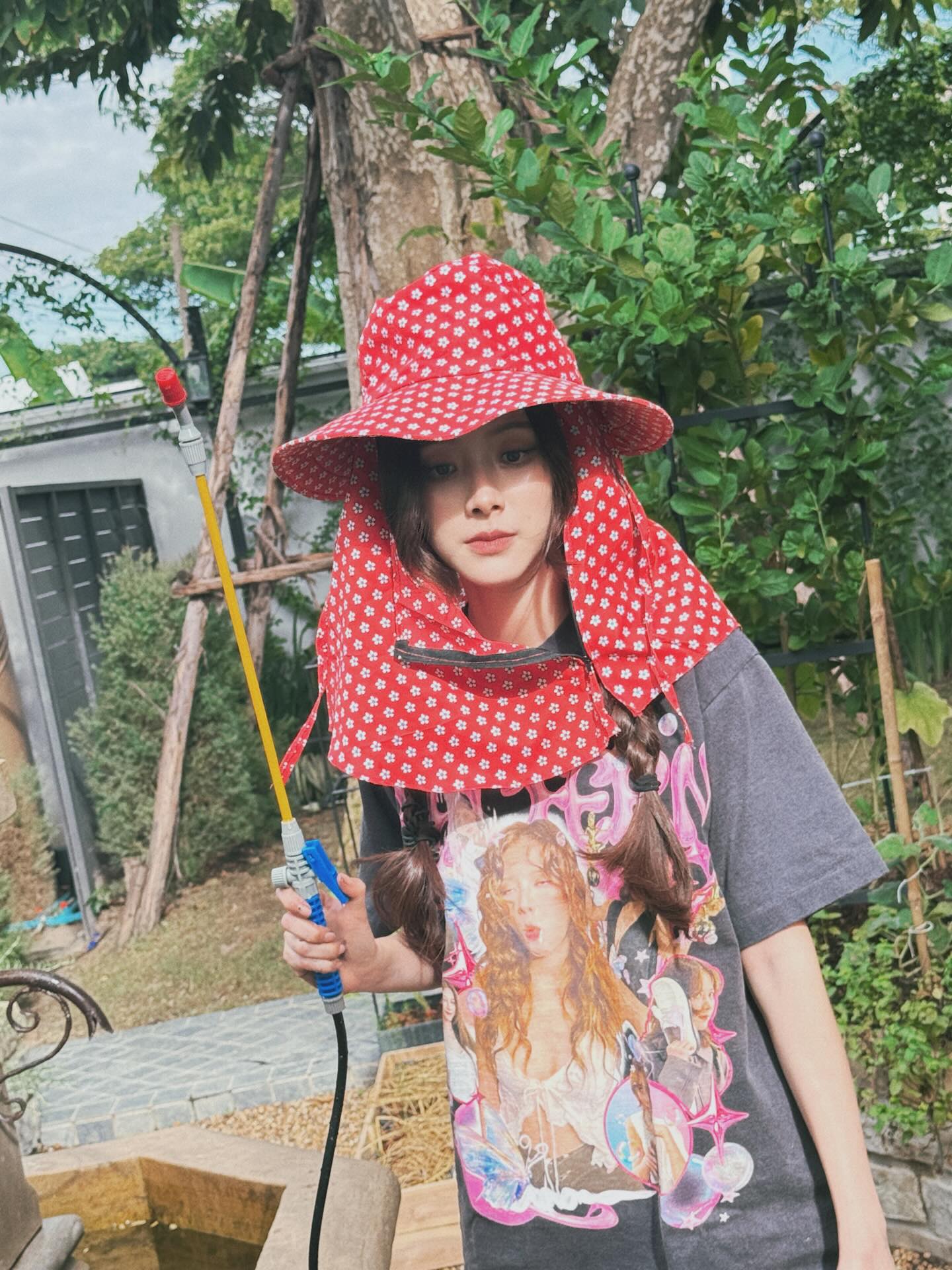 ใบเฟิร์น พิมพ์ชนก