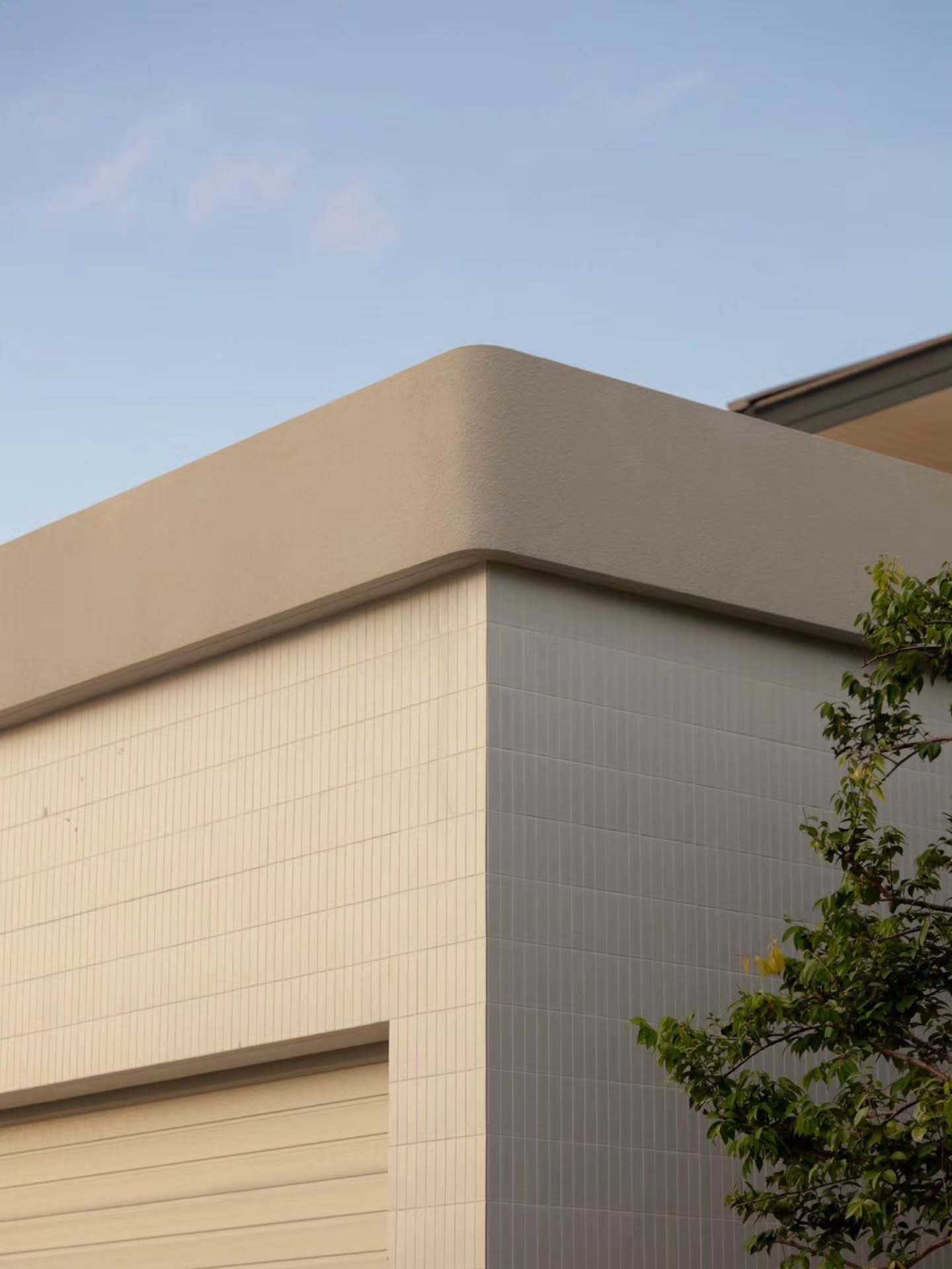 ก้อย ตูน