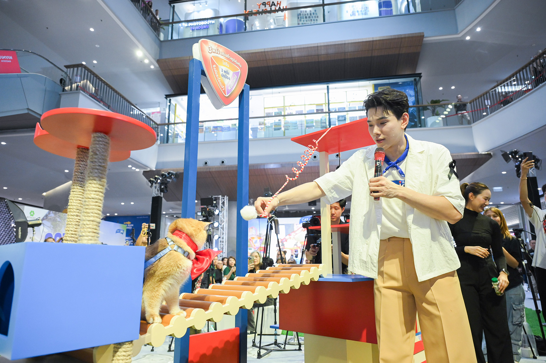 ต้าห์อู๋ จ่าฝูงแมว! ขึ้นแท่นแบรนด์แอมบาสเดอร์คนแรกของ CAT n joy