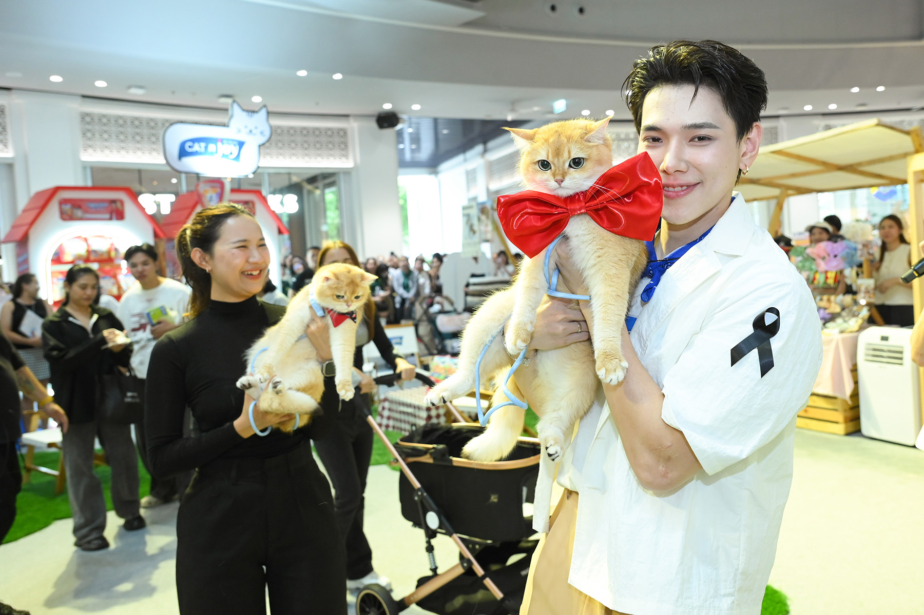 ต้าห์อู๋ จ่าฝูงแมว! ขึ้นแท่นแบรนด์แอมบาสเดอร์คนแรกของ CAT n joy
