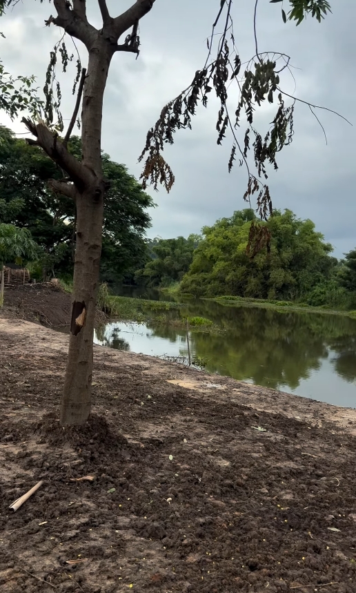 ฮาย อาภาพร