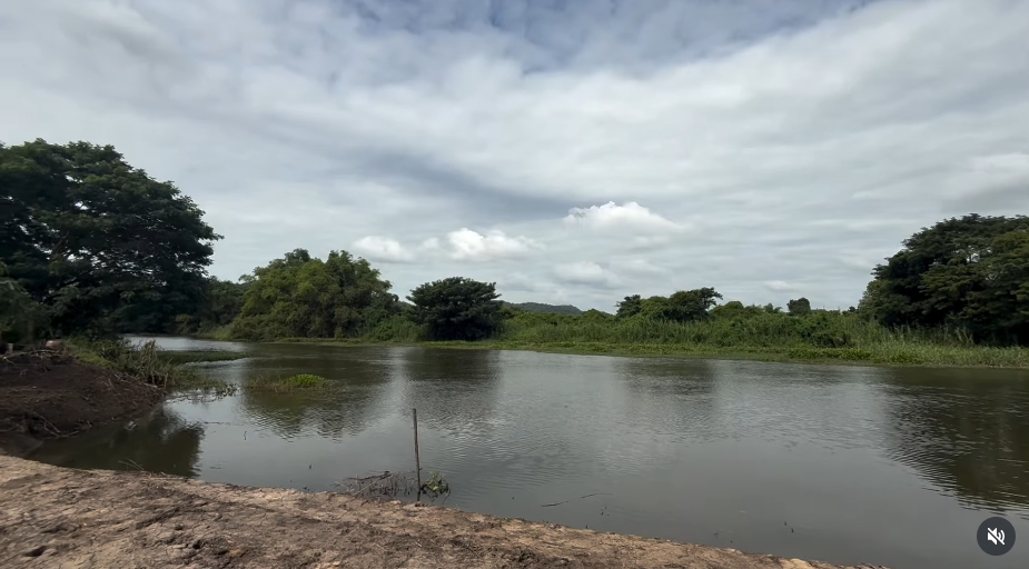 ฮาย อาภาพร