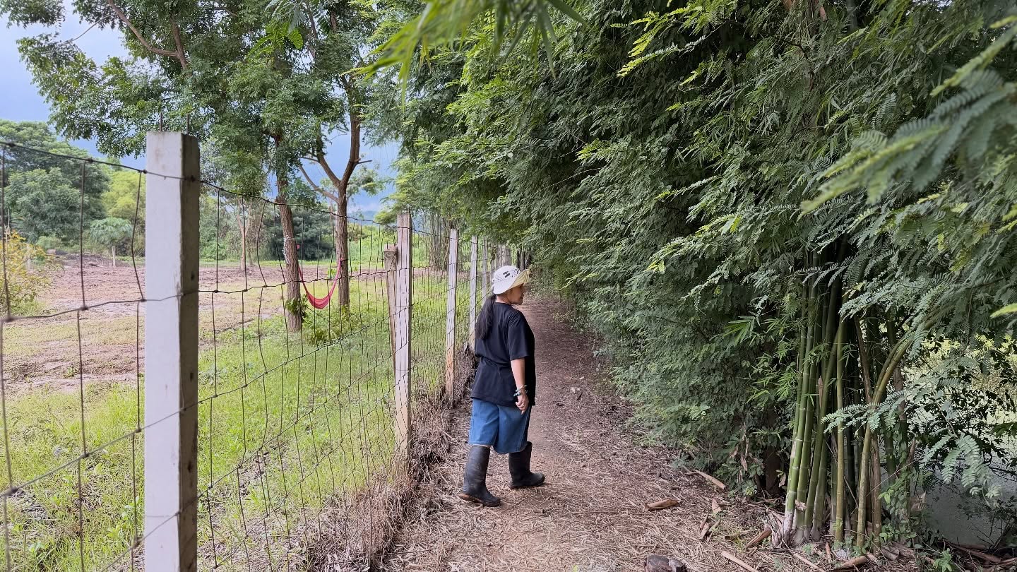 ฮาย อาภาพร