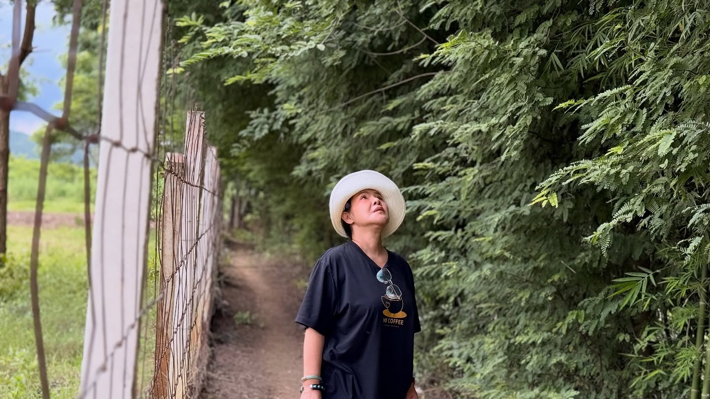 ฮาย อาภาพร