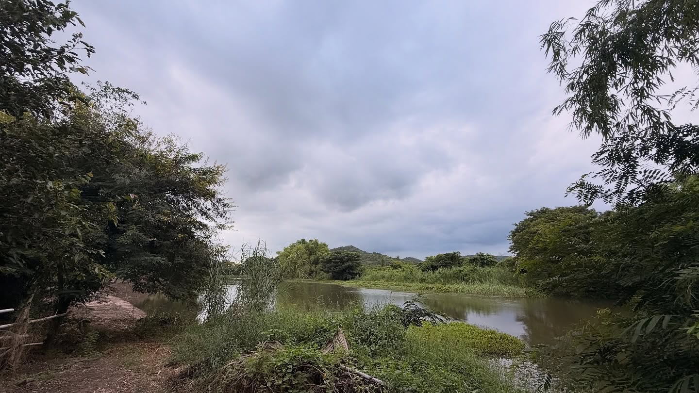 ฮาย อาภาพร