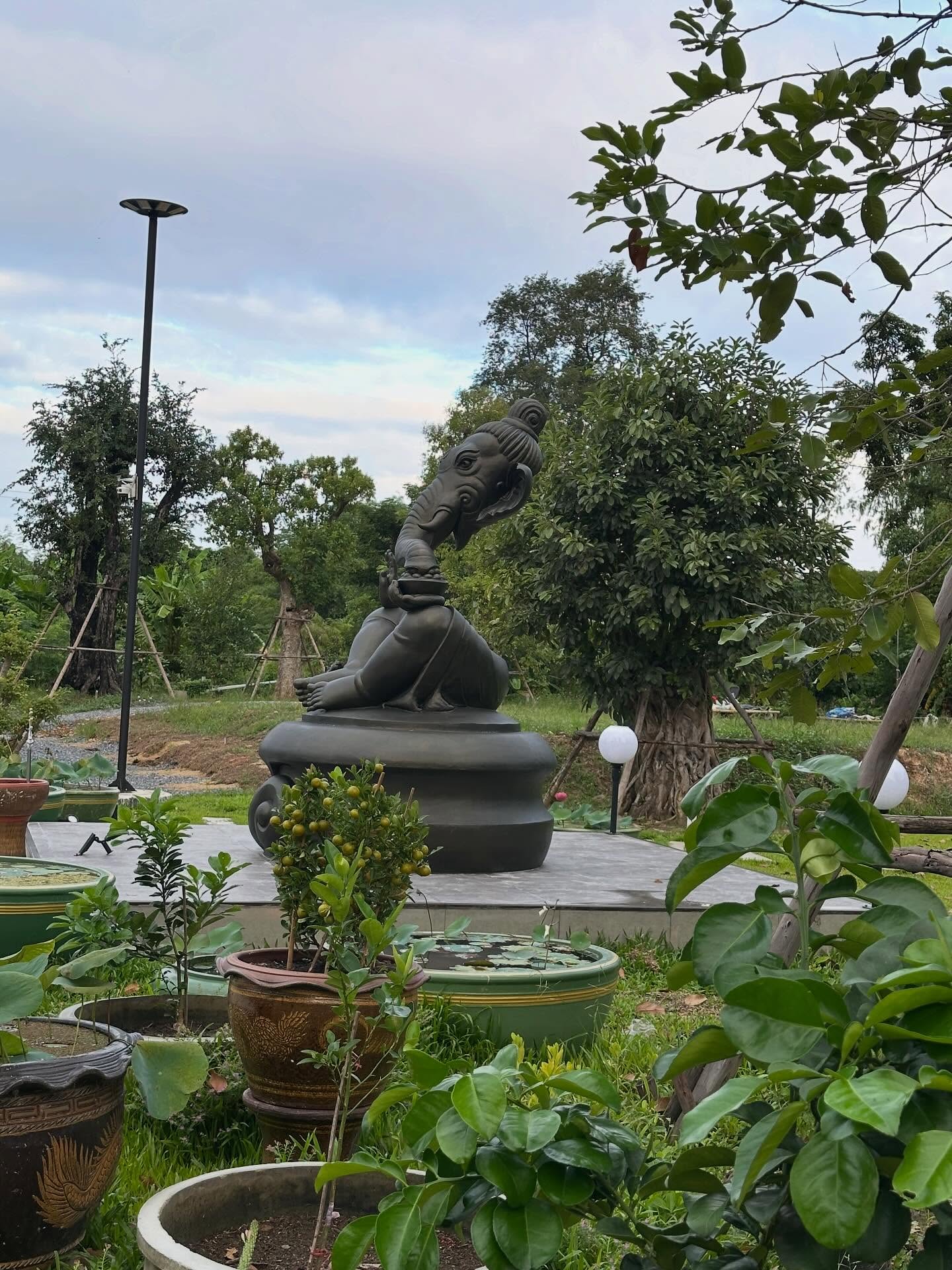 ฮาย อาภาพร