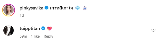 ตุ้ย พิ้งกี้