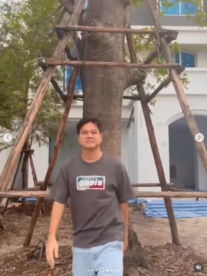 เต๋า สมชาย