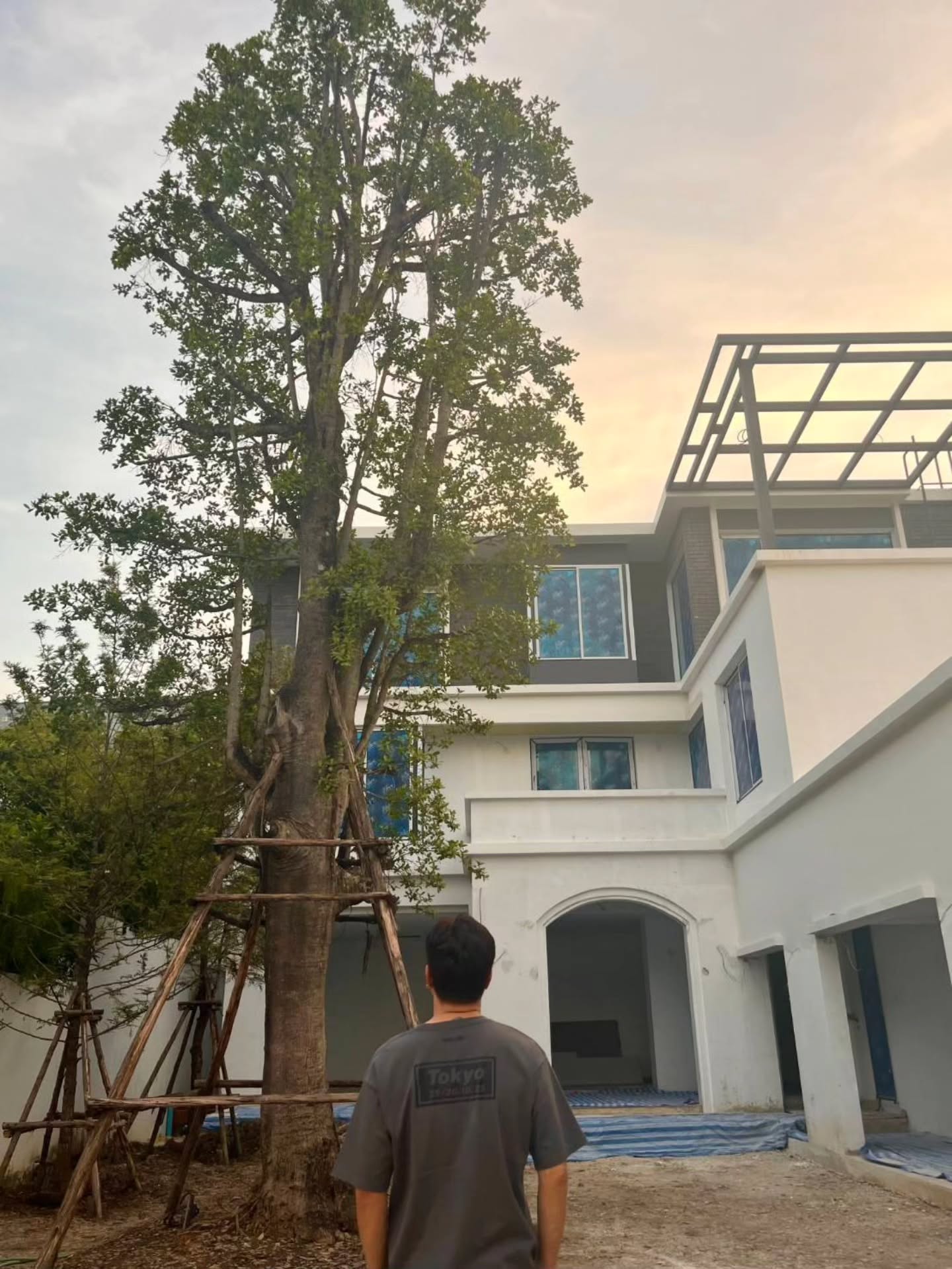 เต๋า สมชาย