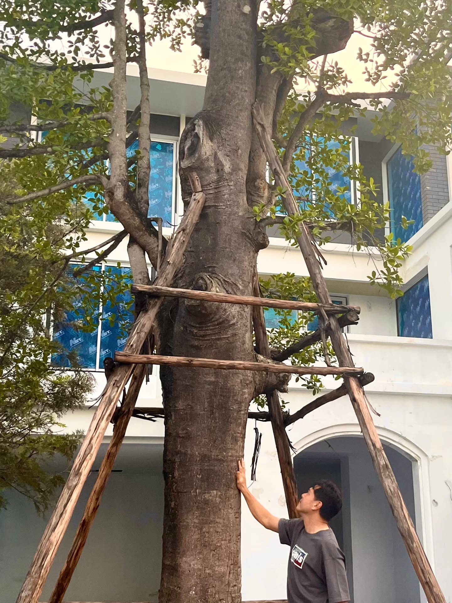 เต๋า สมชาย