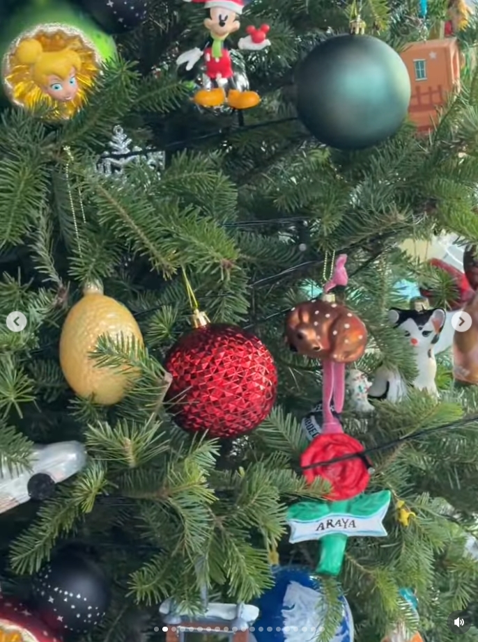 ชมพู่ อารยา