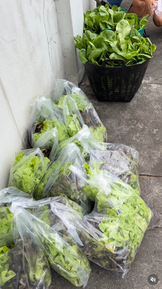 สุนารี ราชสีมา