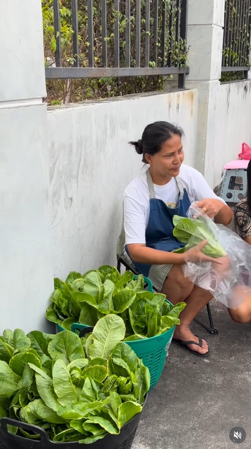 สุนารี ราชสีมา