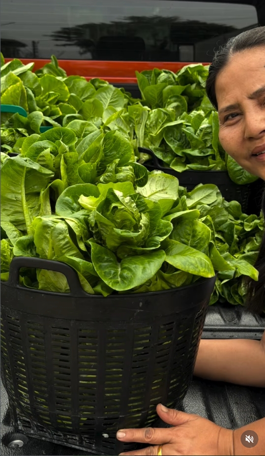 สุนารี ราชสีมา