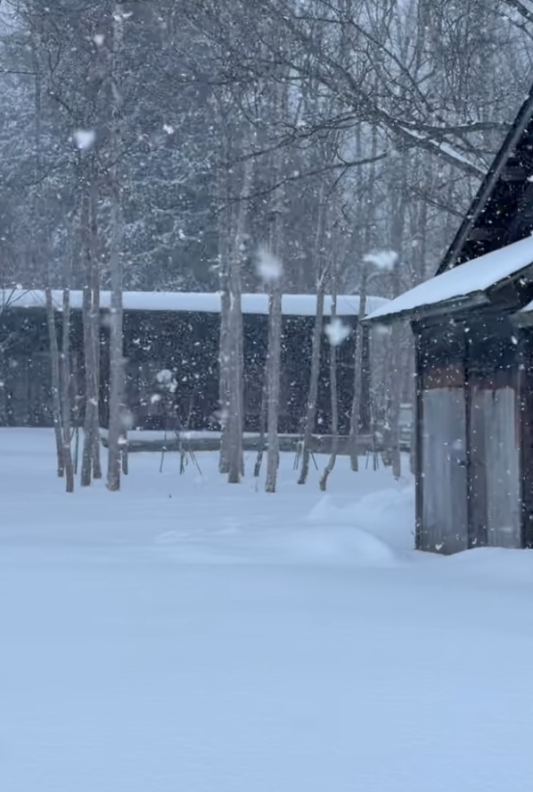 หน่อย บุษกร