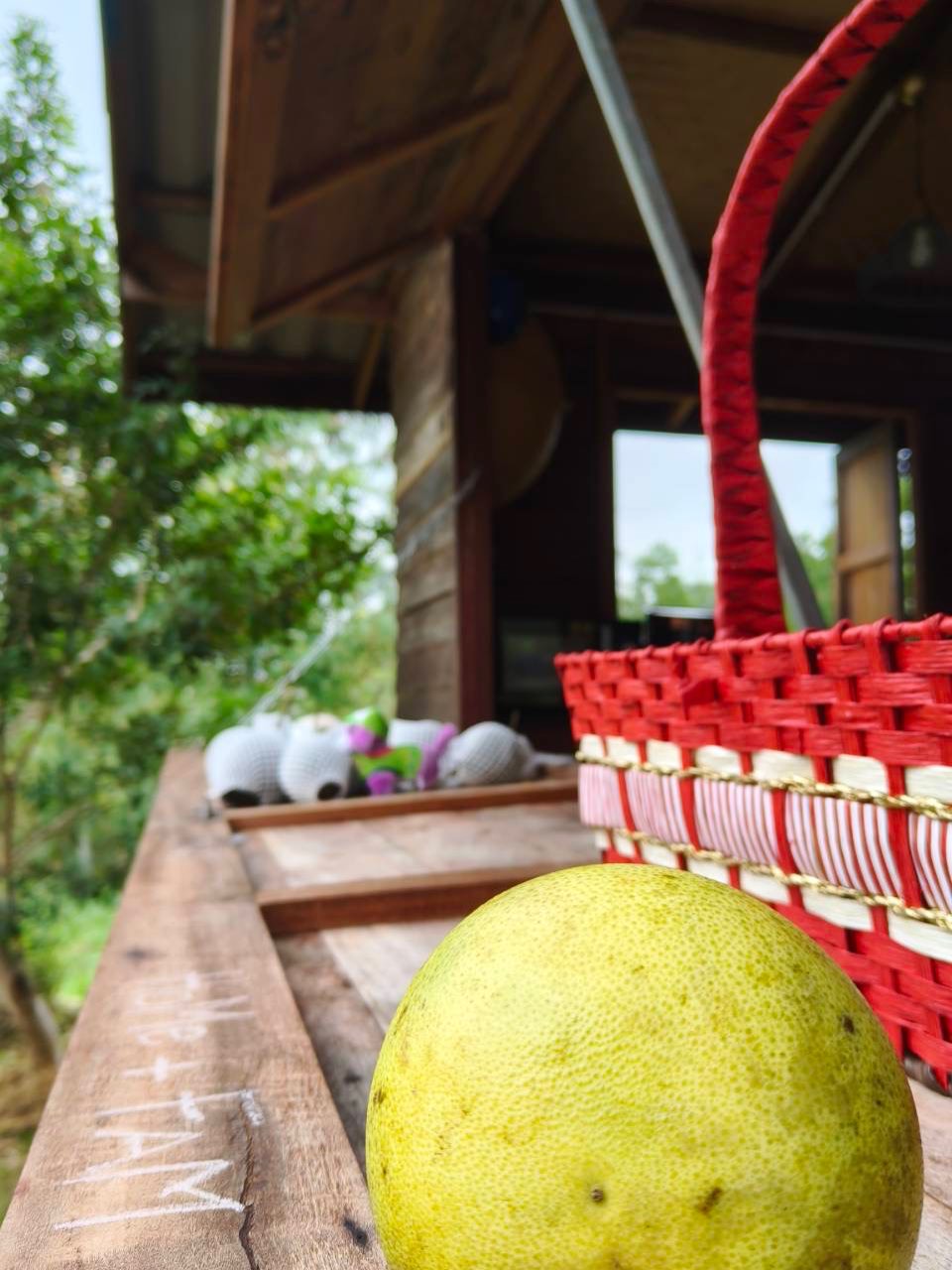 เวียร์ ศกุลวัฒน์