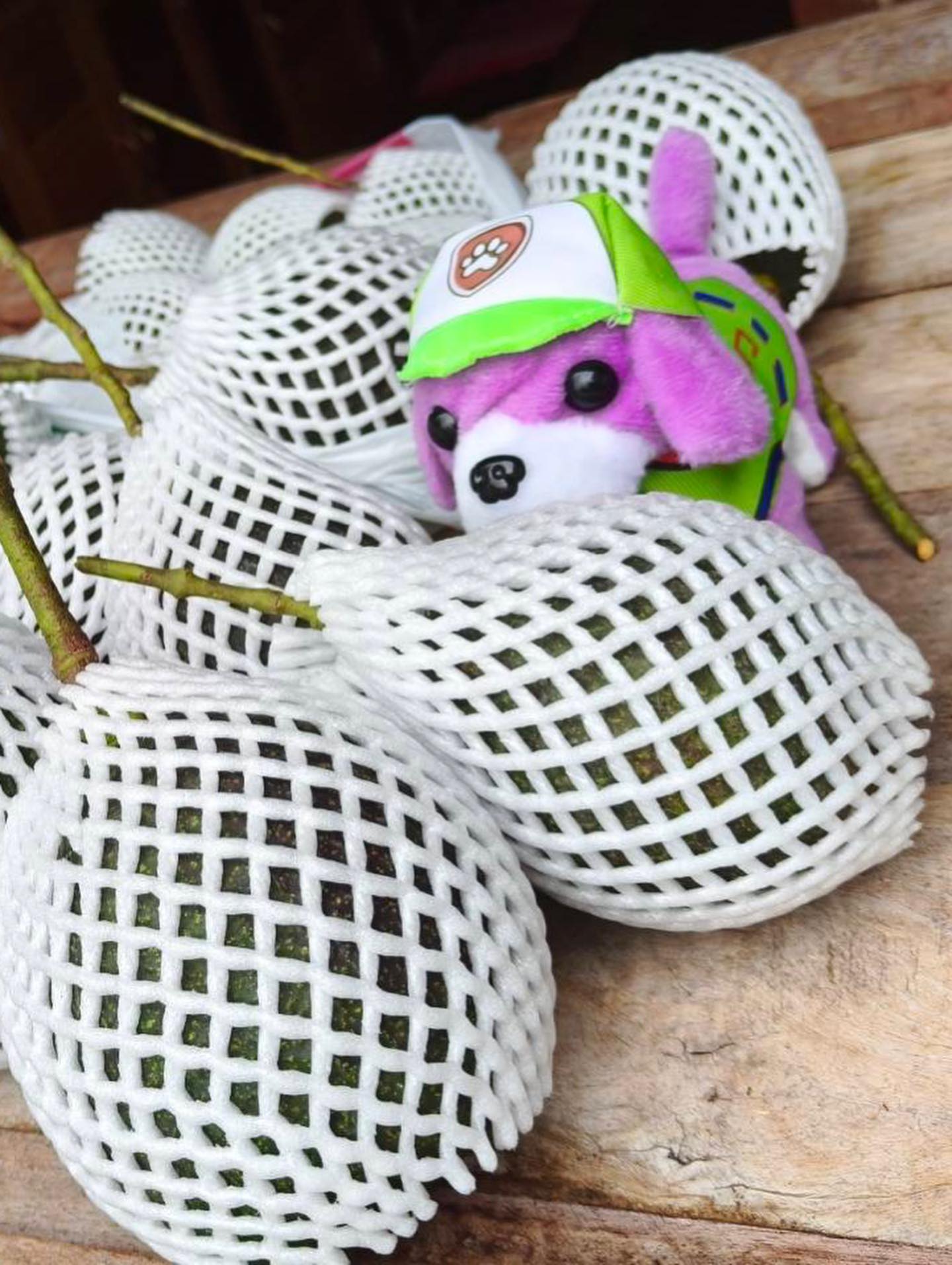 เวียร์ ศกุลวัฒน์