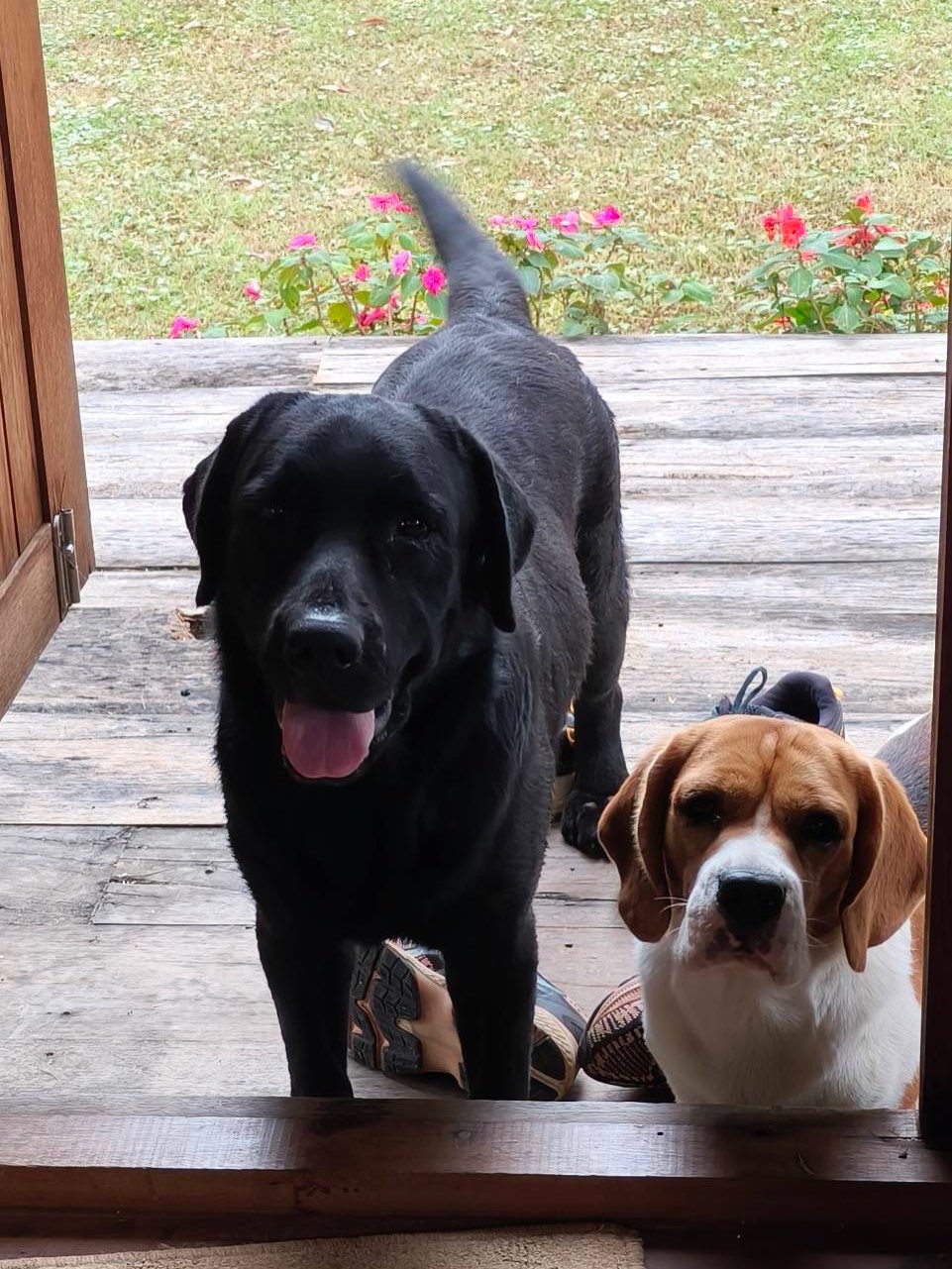 เวียร์ ศกุลวัฒน์