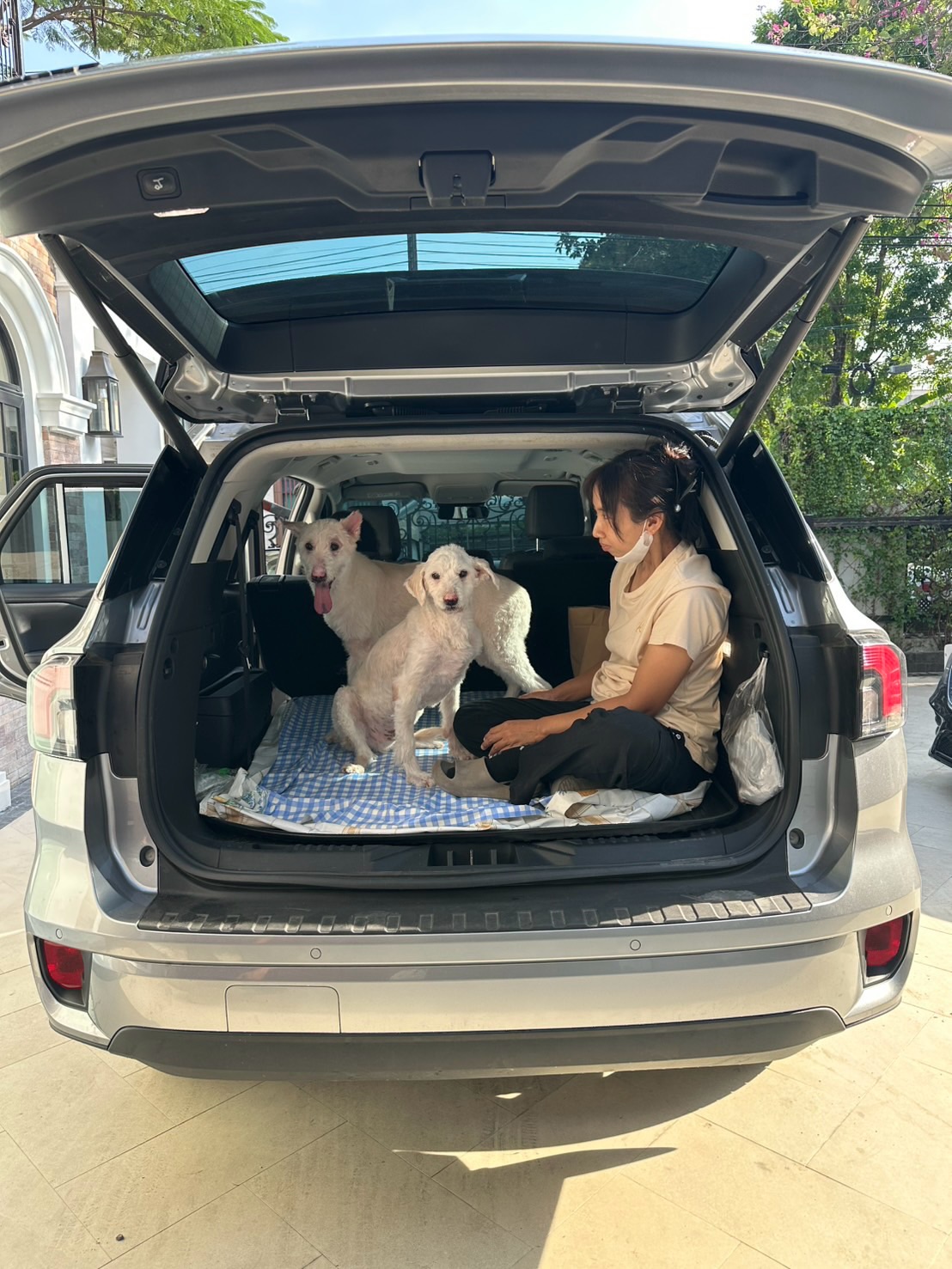 อั้ม พัชราภา