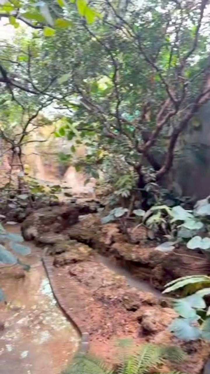 เคน ภูภูมิ