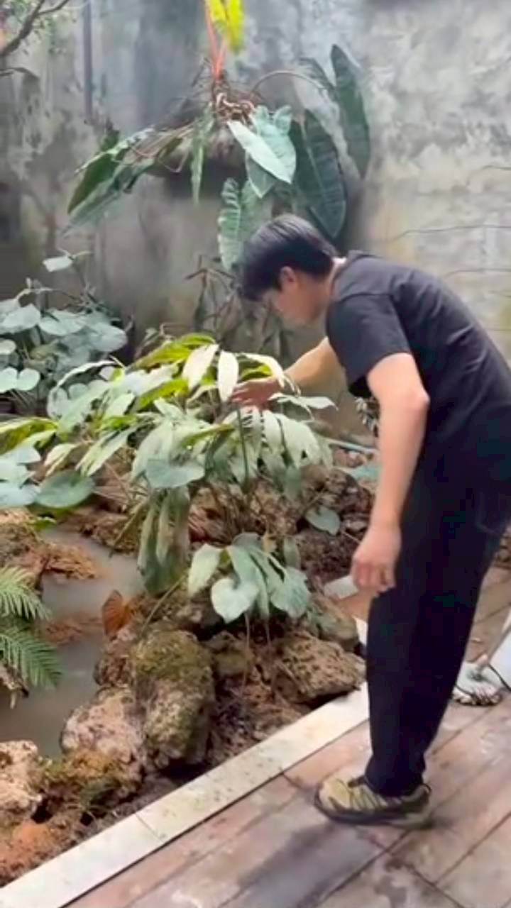 เคน ภูภูมิ