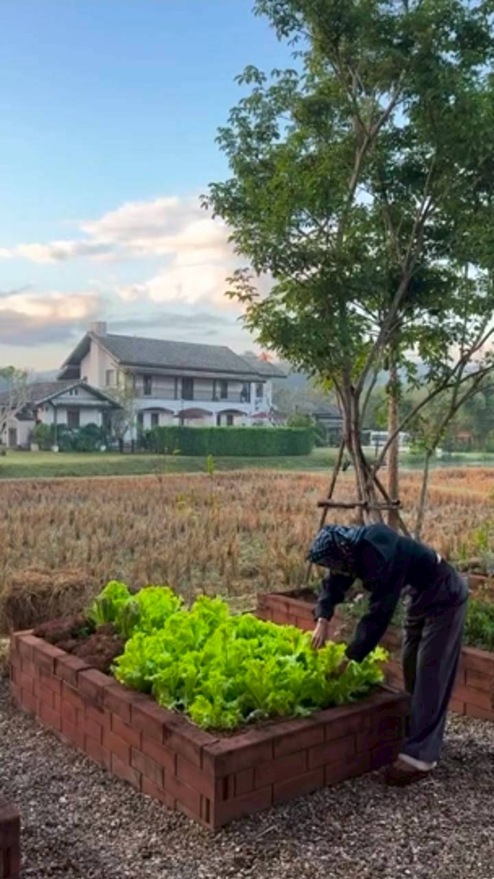 แอน ทองประสม