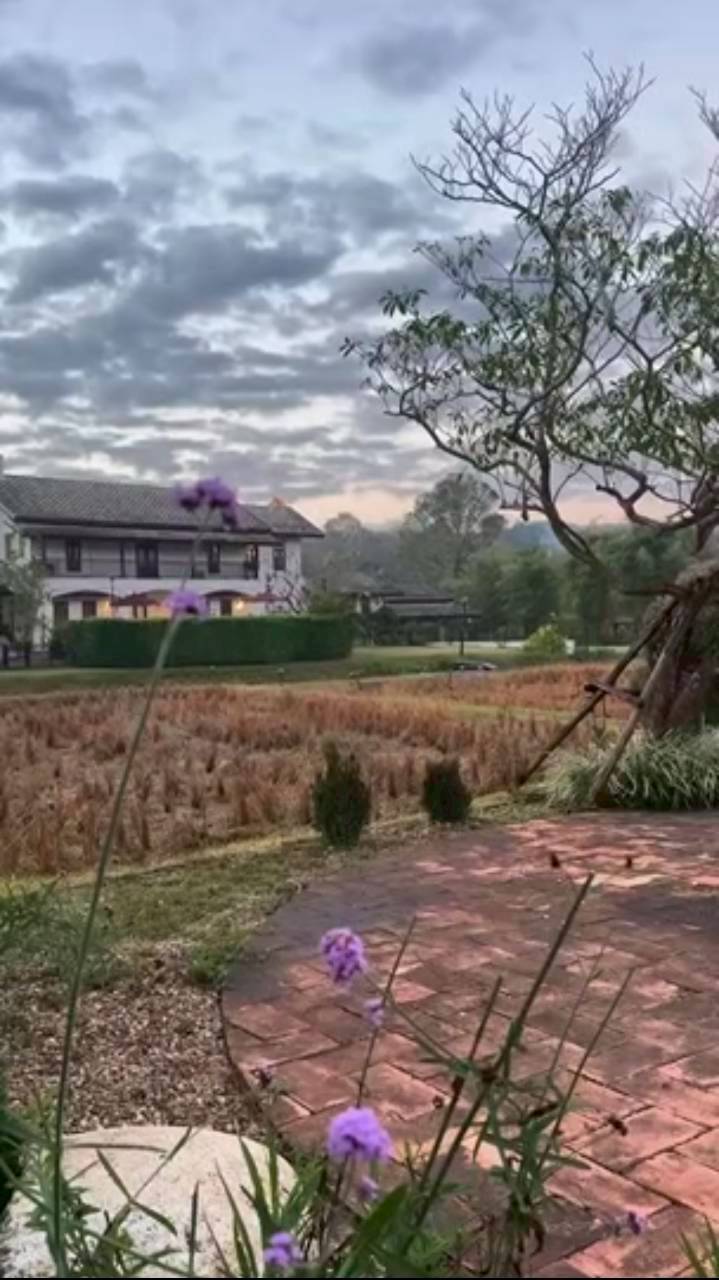 แอน ทองประสม