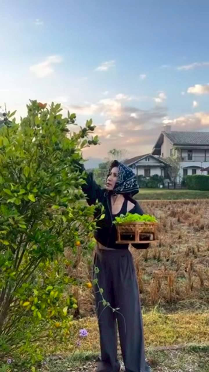 แอน ทองประสม