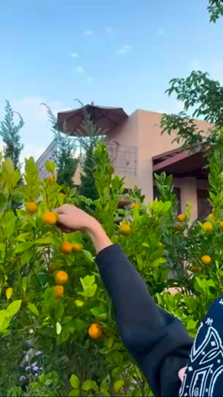 แอน ทองประสม