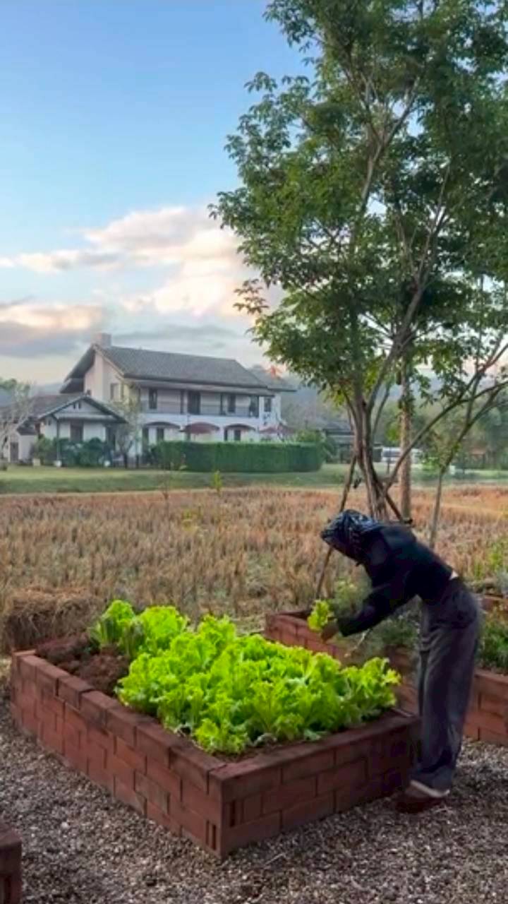 แอน ทองประสม