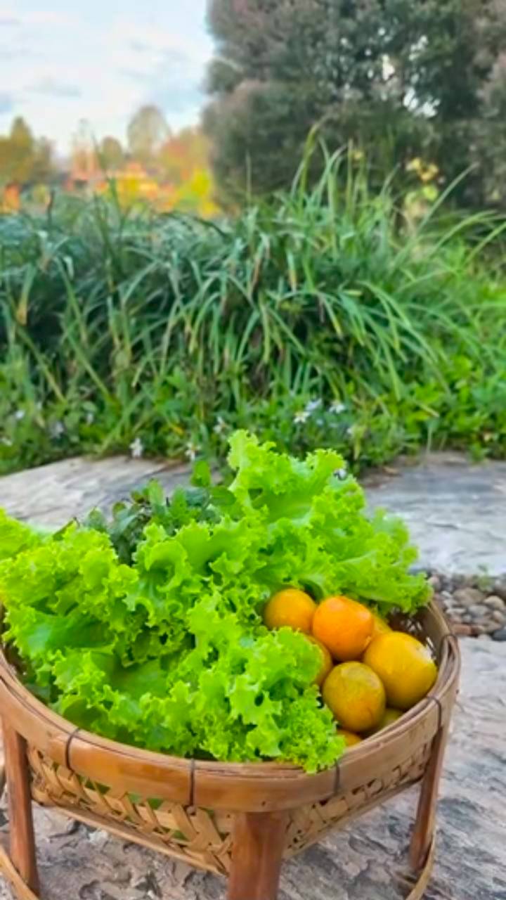 แอน ทองประสม