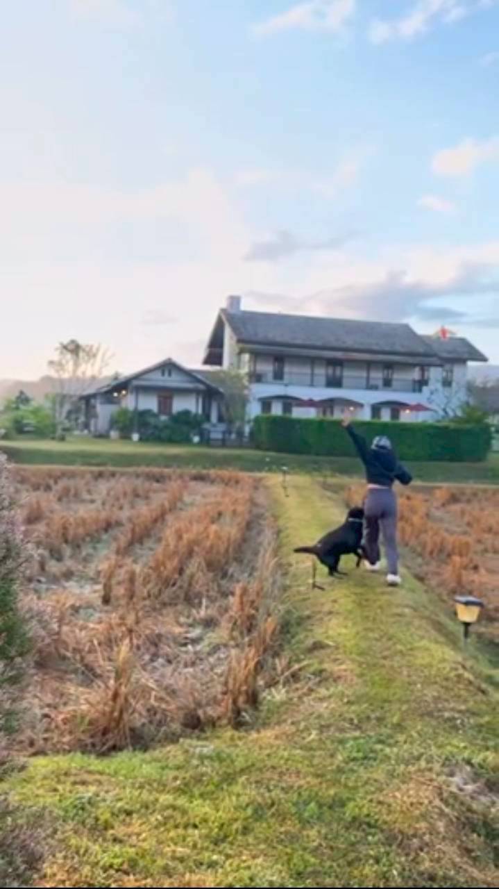 แอน ทองประสม