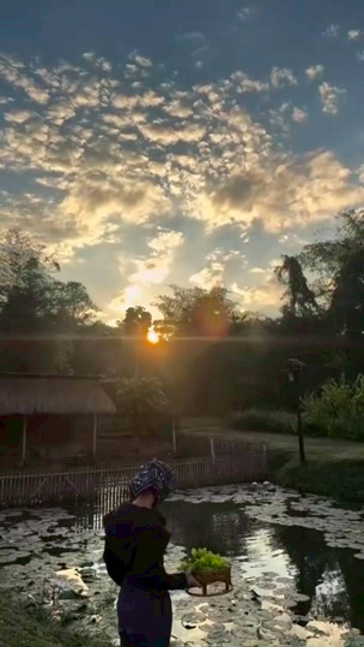 แอน ทองประสม