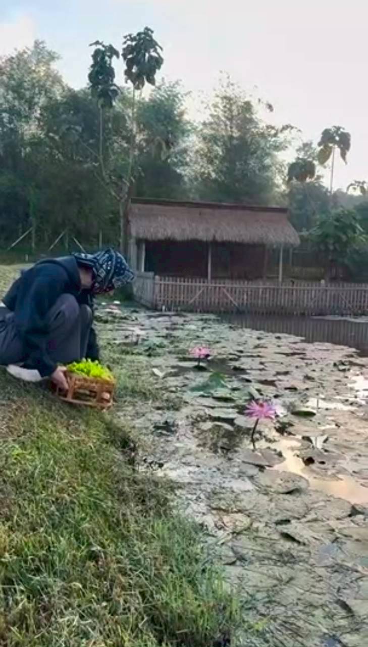 แอน ทองประสม