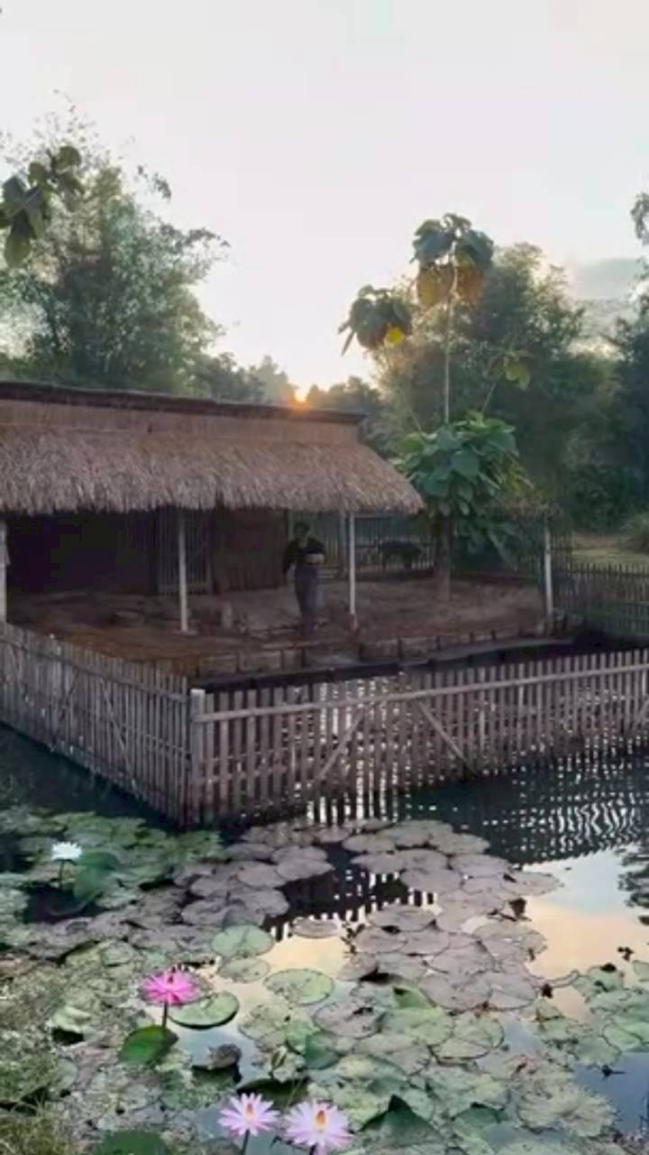 แอน ทองประสม