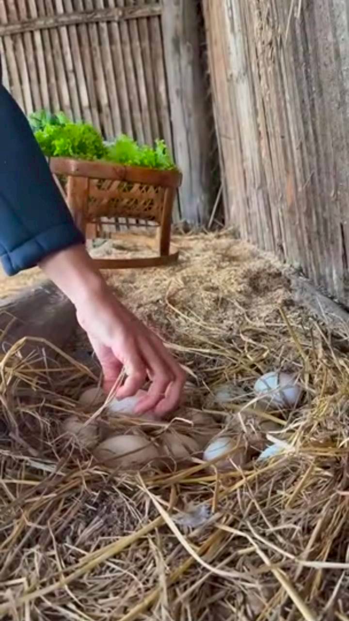 แอน ทองประสม