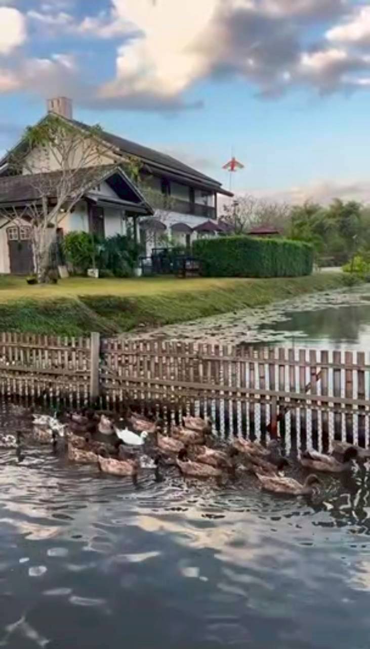 แอน ทองประสม