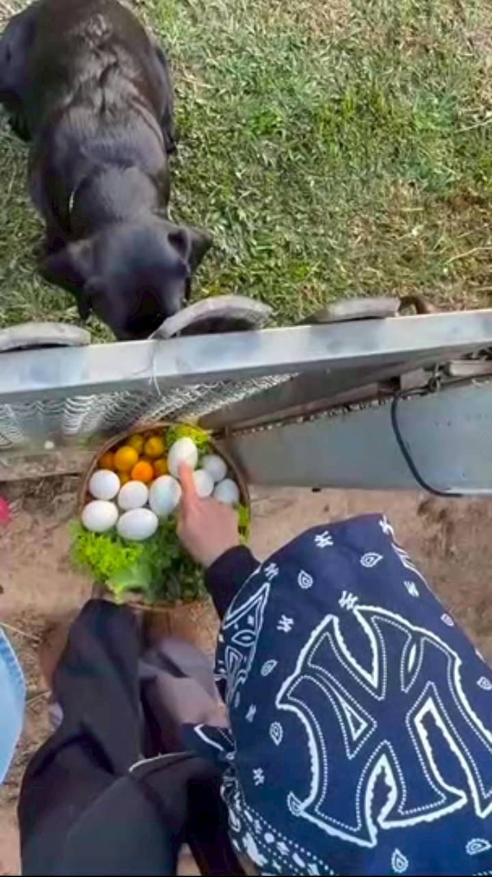 แอน ทองประสม