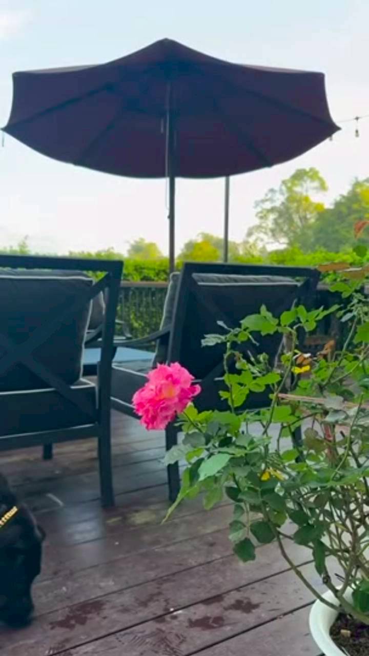 แอน ทองประสม