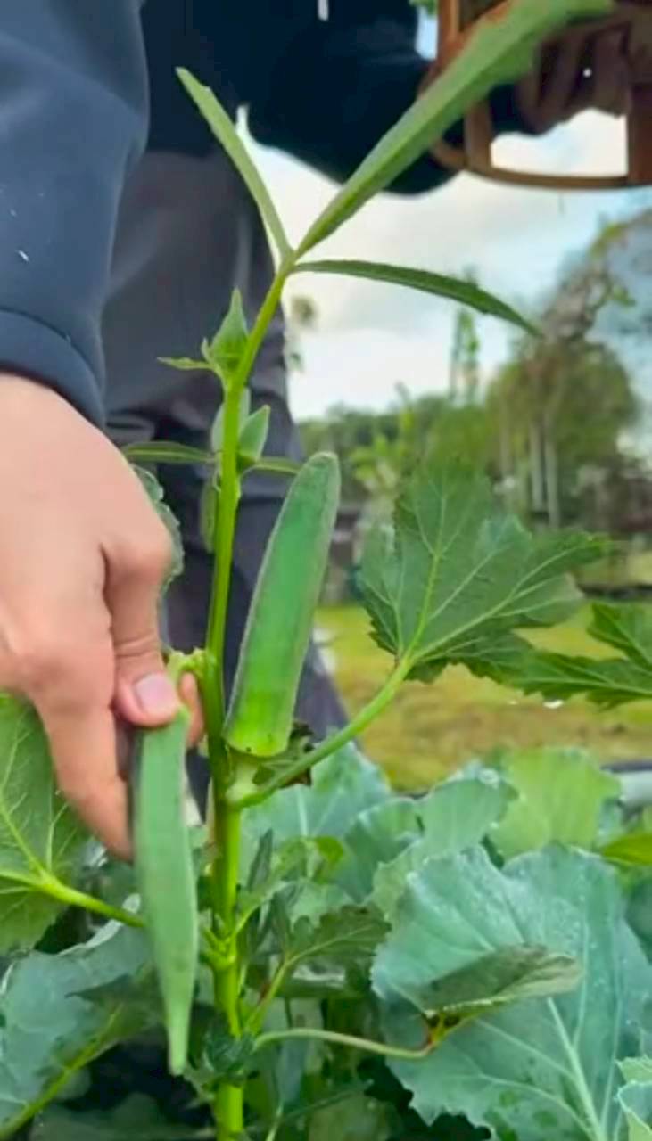 แอน ทองประสม