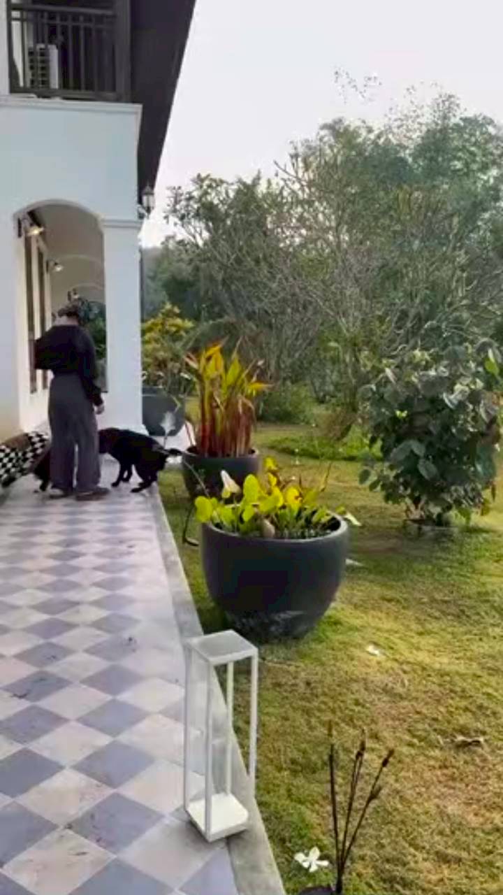 แอน ทองประสม